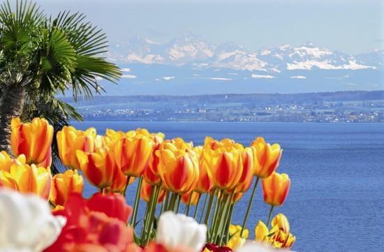Apartment Rose Ahausen  Dış mekan fotoğraf